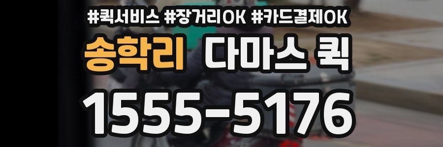 송학리 다마스 퀵