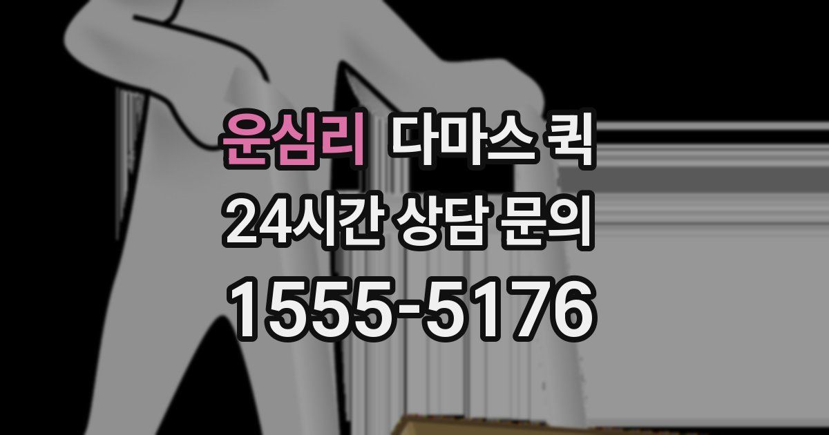 운심리 다마스 퀵