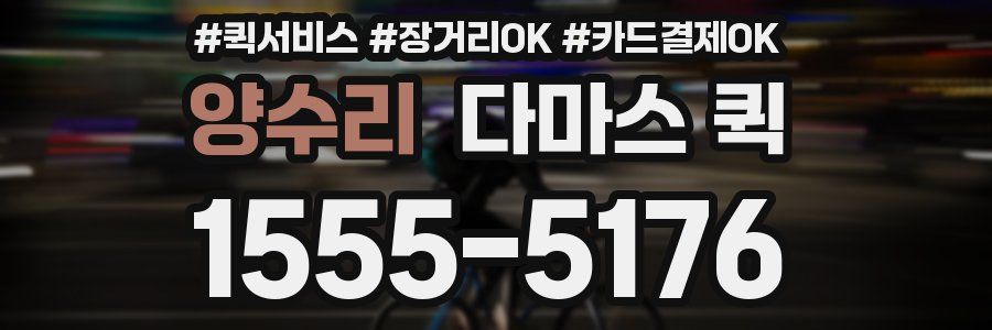 양수리 다마스 퀵