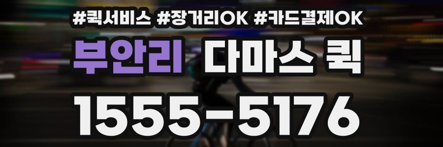 부안리 다마스 퀵