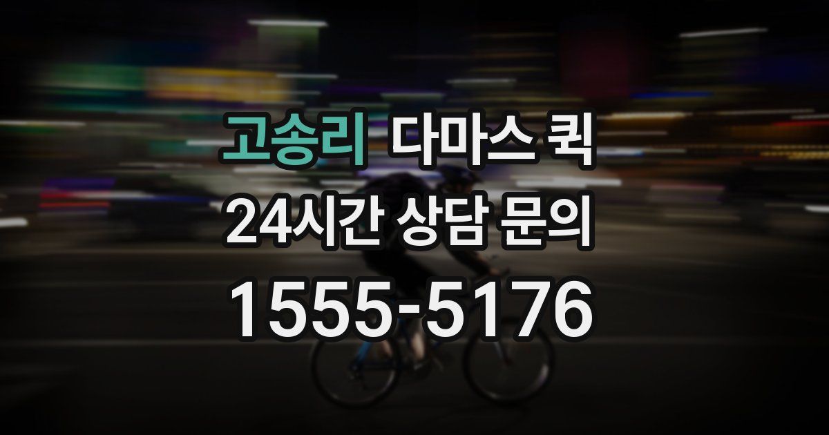 고송리 다마스 퀵