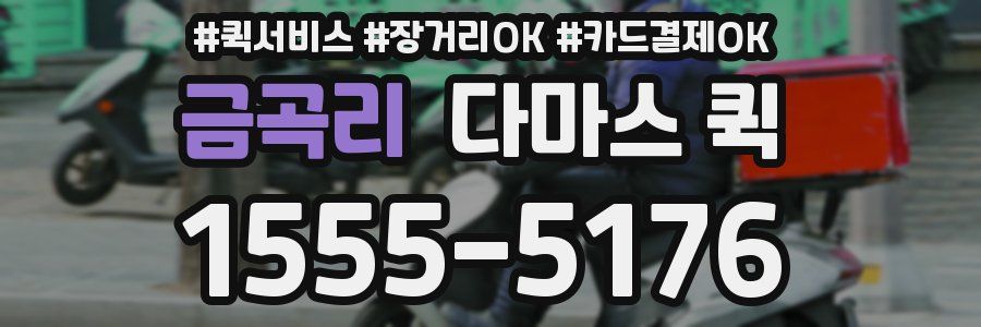 금곡리 다마스 퀵