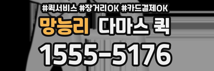 망능리 다마스 퀵