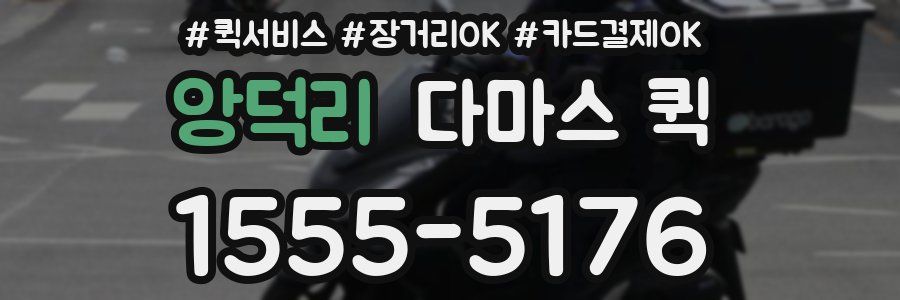 앙덕리 다마스 퀵