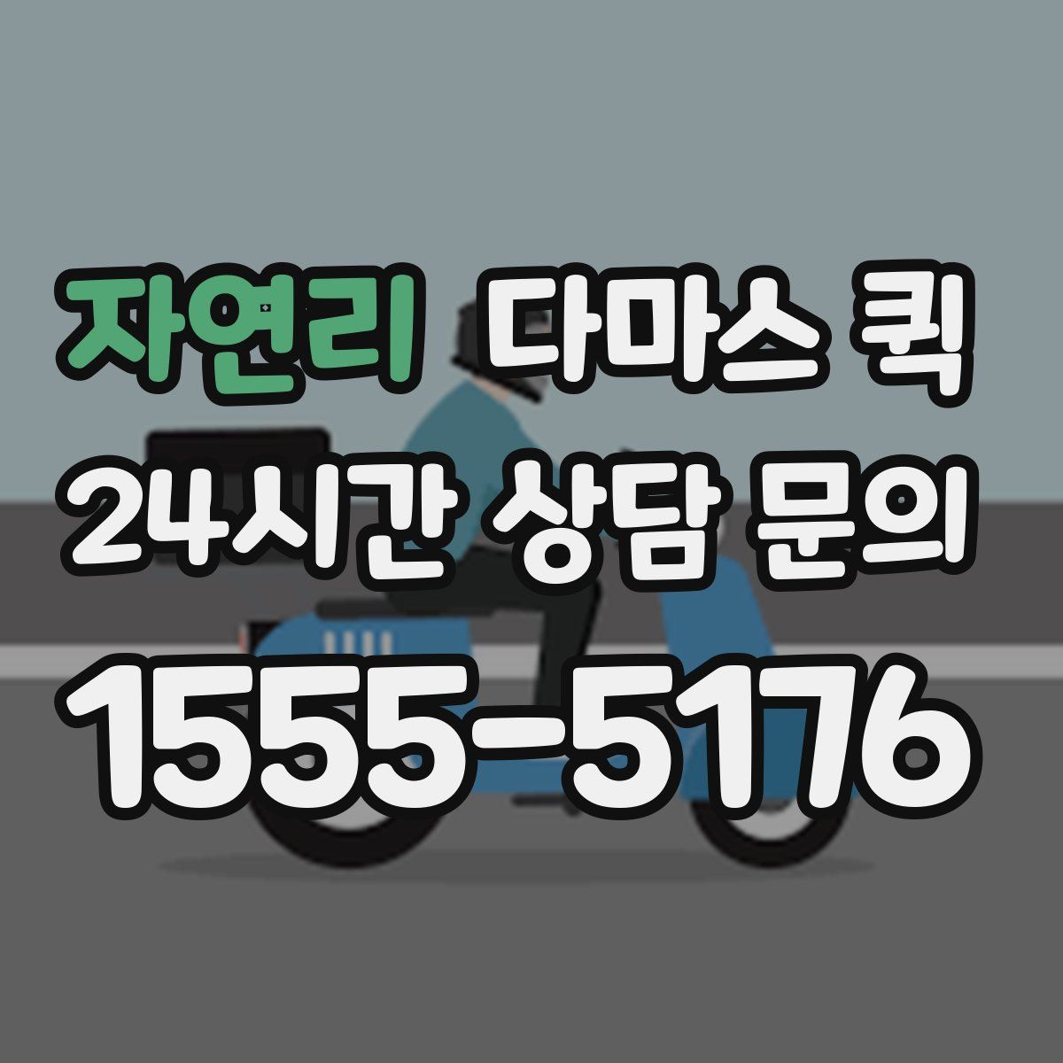 자연리 다마스 퀵