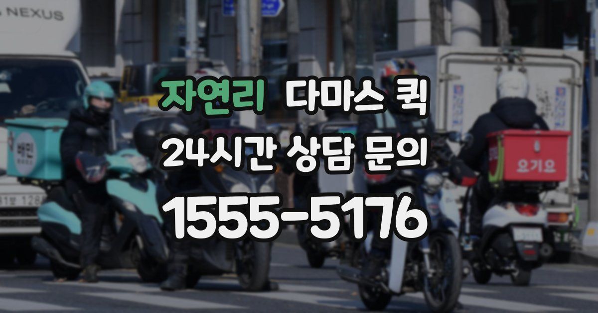 자연리 다마스 퀵