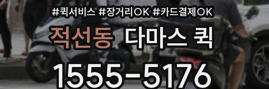 적선동 다마스 퀵