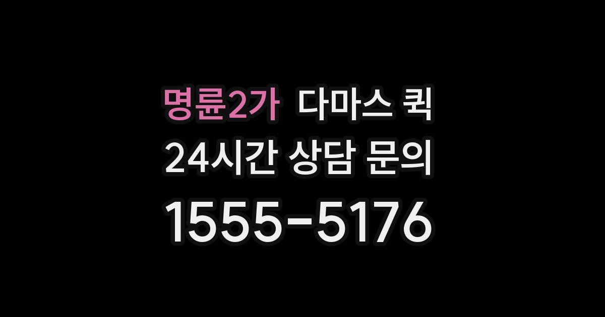 명륜2가 다마스 퀵