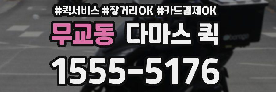 무교동 다마스 퀵