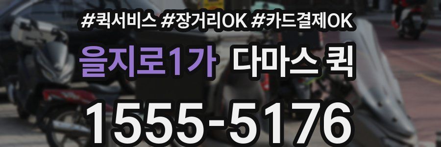 을지로1가 다마스 퀵