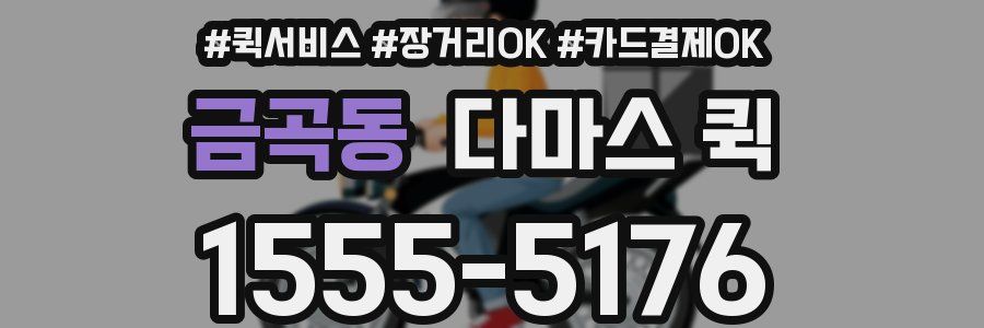 금곡동 다마스 퀵