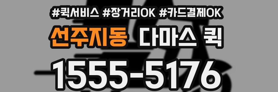 선주지동 다마스 퀵