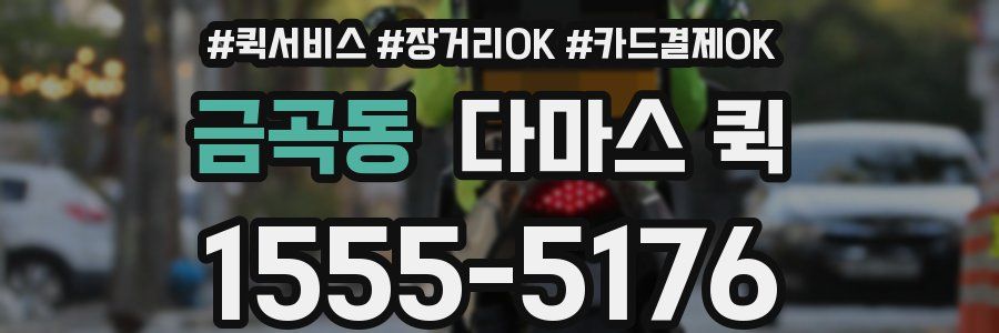 금곡동 다마스 퀵