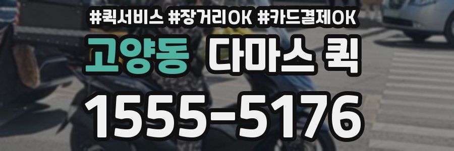 고양동 다마스 퀵