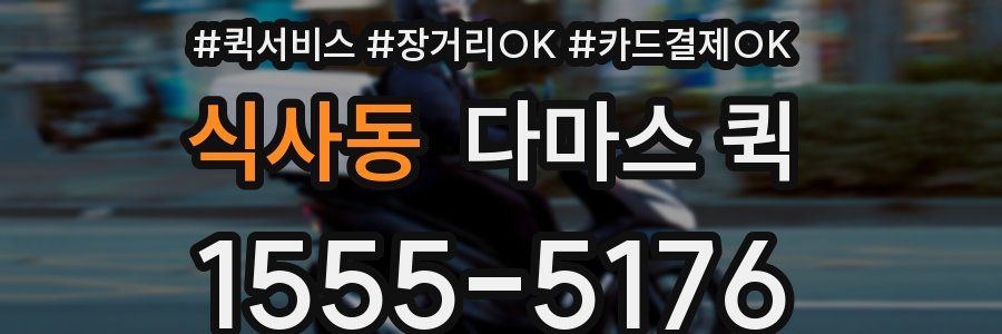 식사동 다마스 퀵