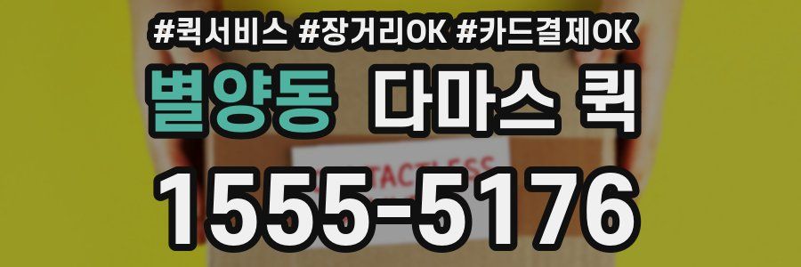 별양동 다마스 퀵