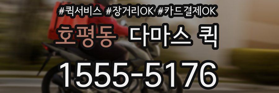 호평동 다마스 퀵