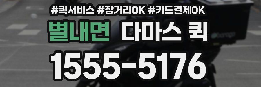 별내면 다마스 퀵