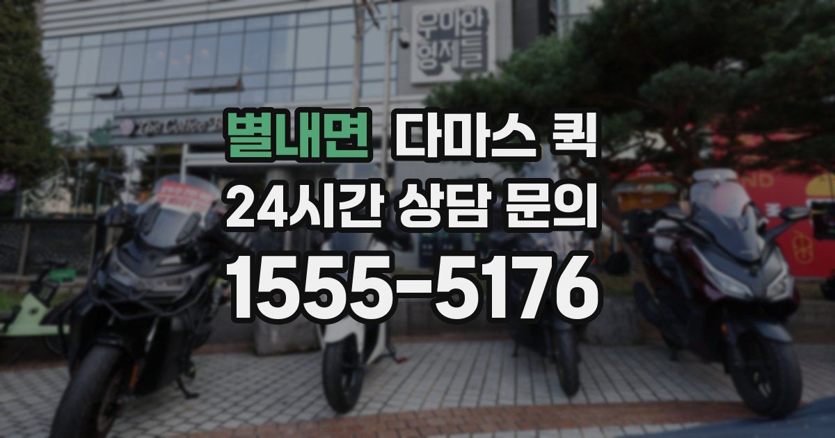 별내면 다마스 퀵