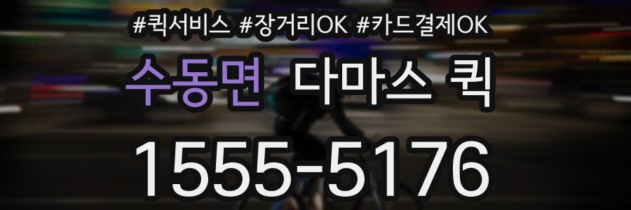 수동면 다마스 퀵