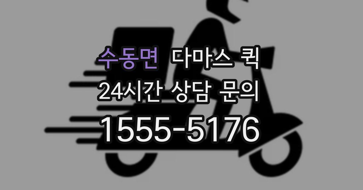 수동면 다마스 퀵