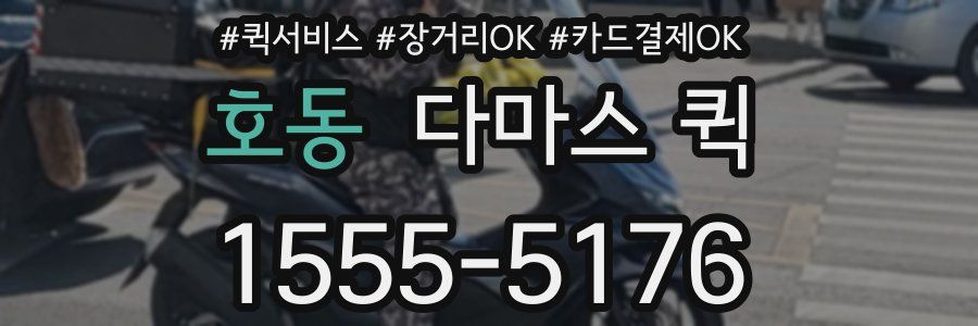 호동 다마스 퀵