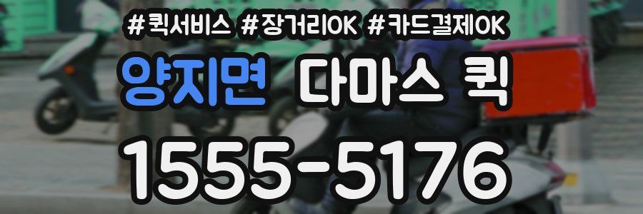 양지면 다마스 퀵