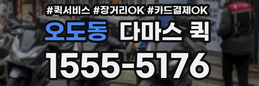 오도동 다마스 퀵