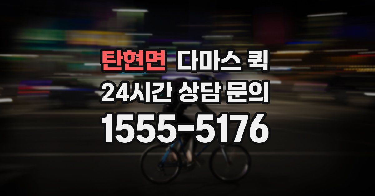 탄현면 다마스 퀵