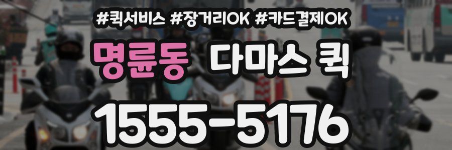 명륜동 다마스 퀵