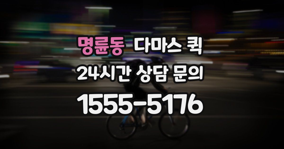 명륜동 다마스 퀵