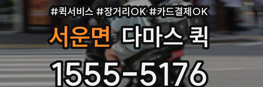 서운면 다마스 퀵