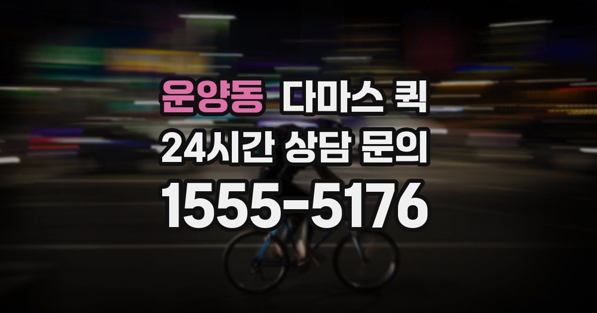 운양동 다마스 퀵