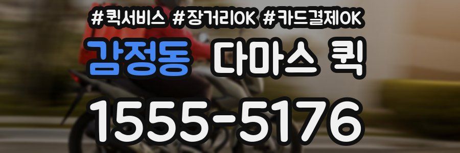 감정동 다마스 퀵