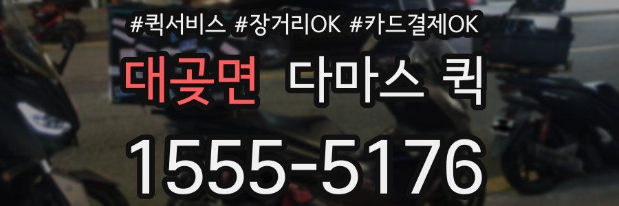 대곶면 다마스 퀵