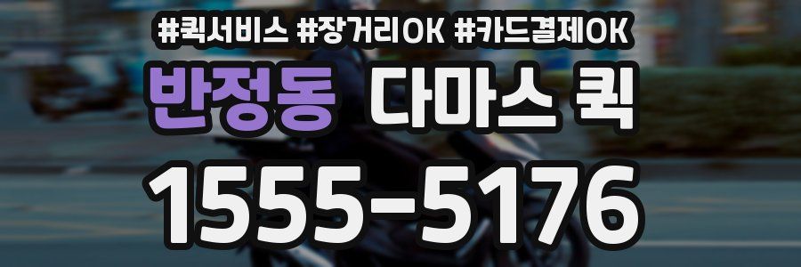 반정동 다마스 퀵