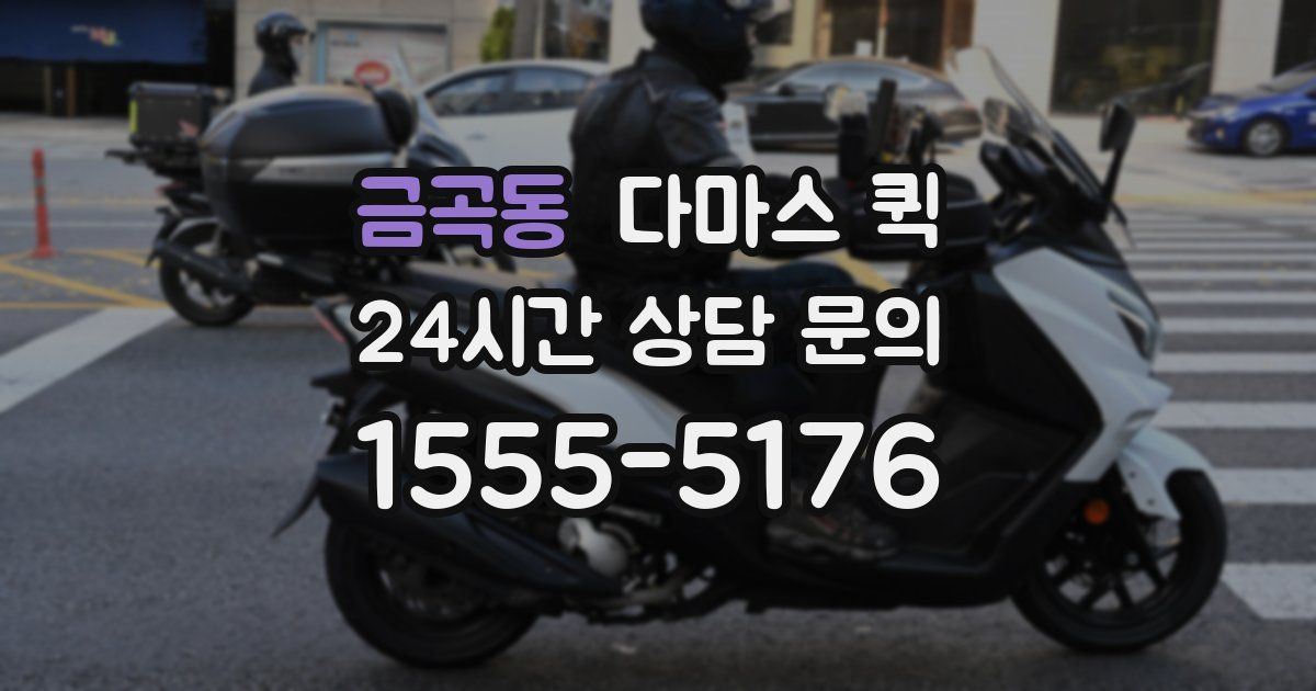 금곡동 다마스 퀵