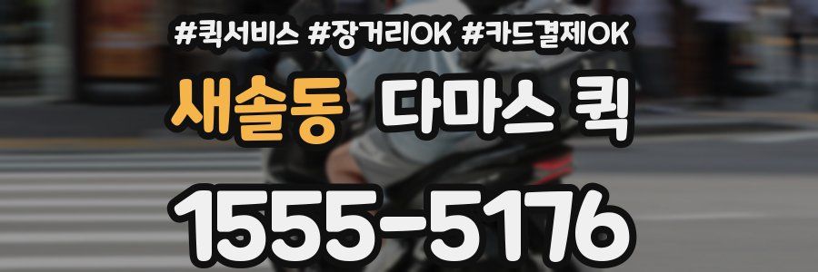 새솔동 다마스 퀵