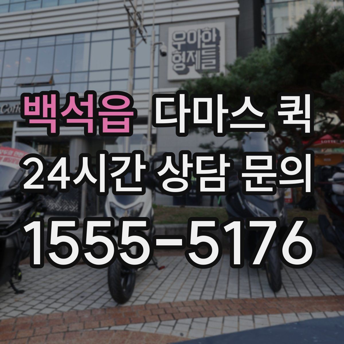 백석읍 다마스 퀵 송장 없이도 가능한가요 접수 방법