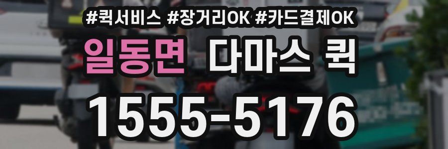 일동면 다마스 퀵