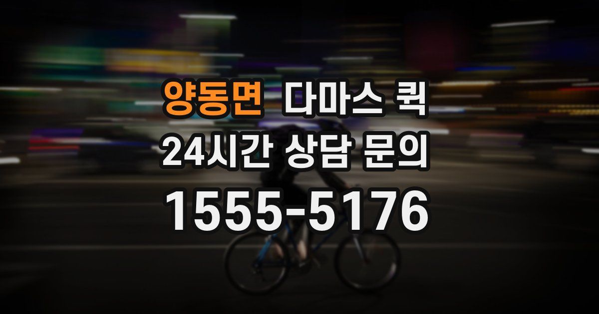 양동면 다마스 퀵