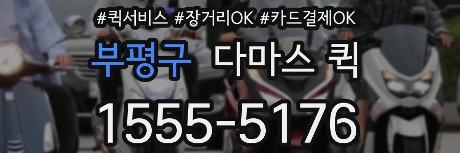 부평구 다마스 퀵