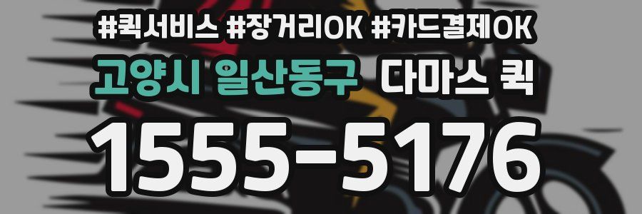 고양시 일산동구 다마스 퀵