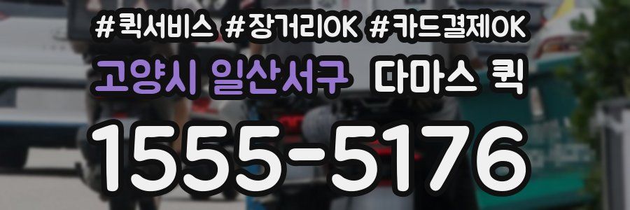 고양시 일산서구 다마스 퀵