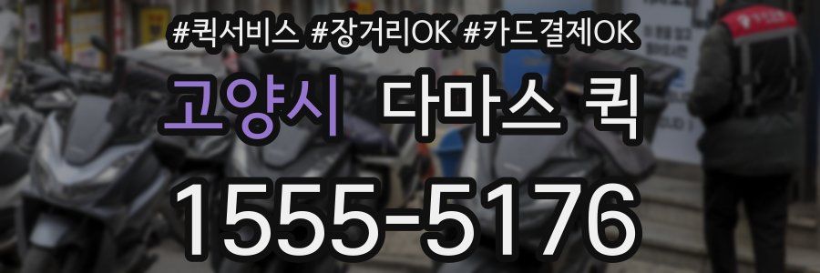 고양시 다마스 퀵