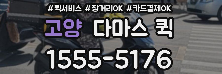 고양 다마스 퀵