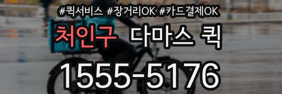 처인구 다마스 퀵