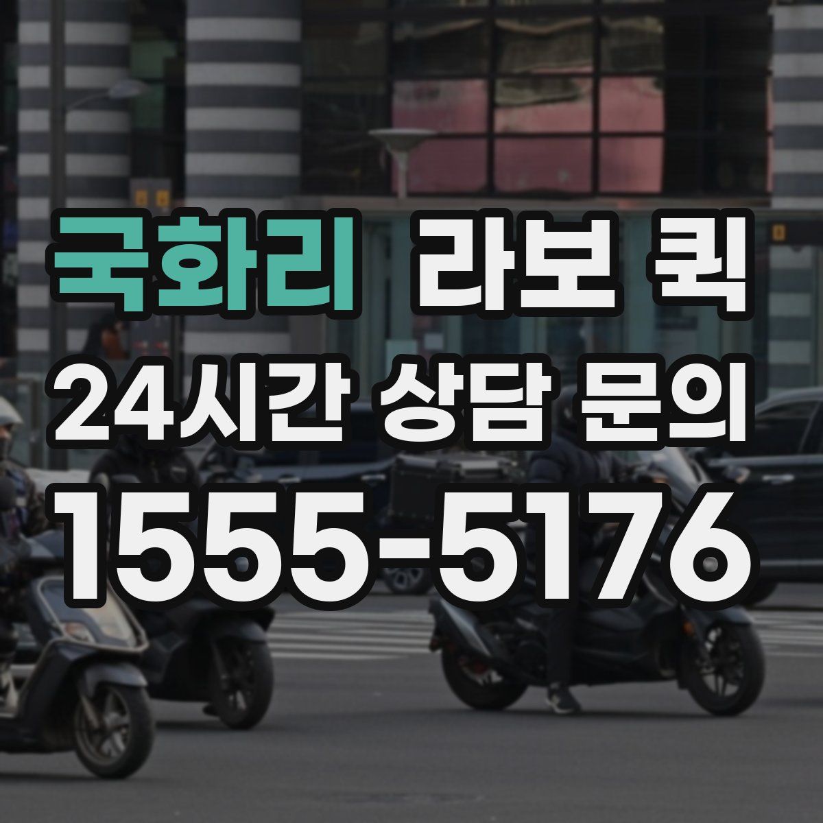 국화리 라보 퀵