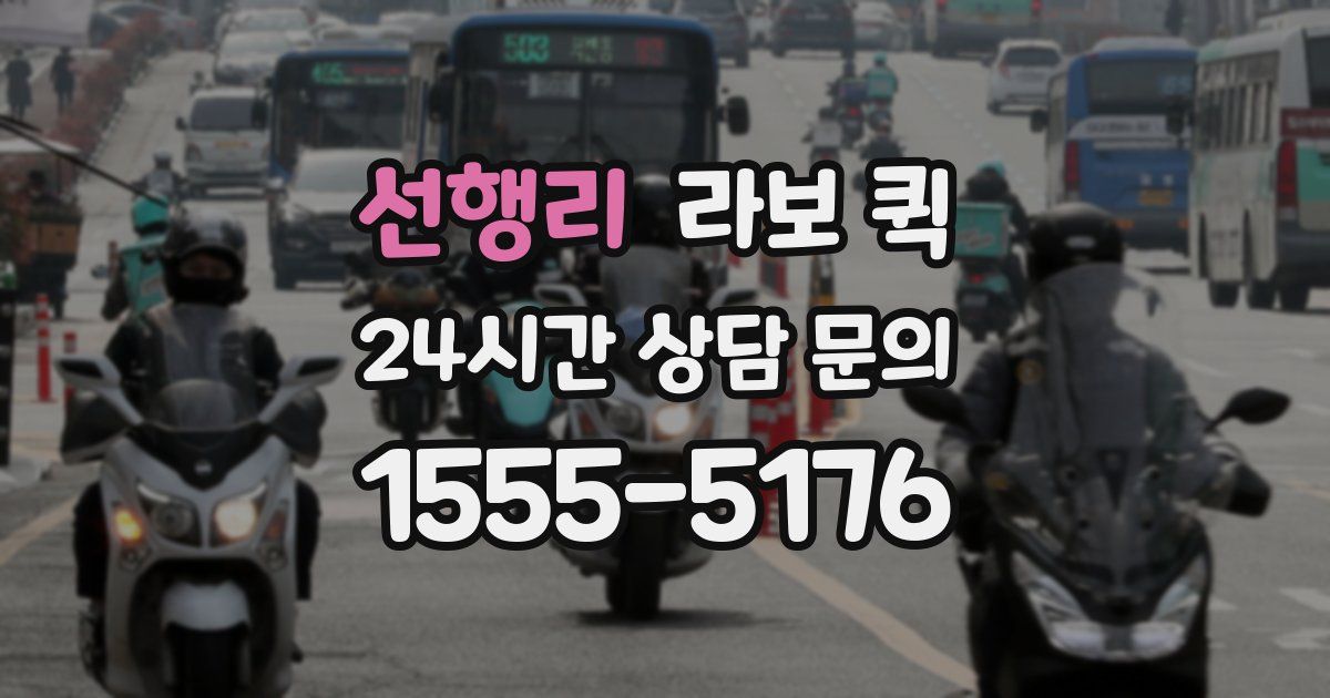 선행리 라보 퀵