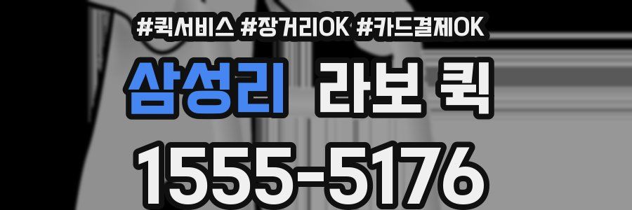 삼성리 라보 퀵